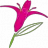 Flowersdeliverylimaperu.com Favicon