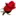 Flowersfast.com Favicon