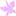 Flowersfromtherainflorist.com Favicon