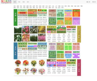 Flowersglobe.com(花木集市网) Screenshot