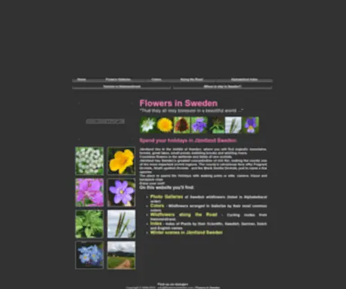 Flowersinsweden.com(Flowers in Sweden) Screenshot