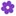 Flowersnyou.com Favicon