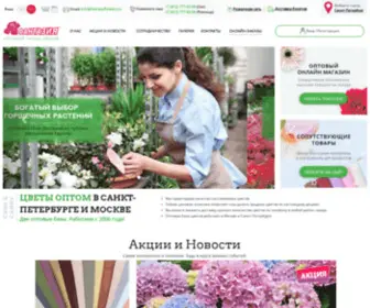 Flowersoffantasy.ru(Цветы оптом) Screenshot