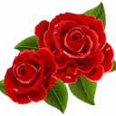 Flowersofnation.my Favicon