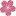 Flowersrediscovered.co.nz Favicon