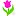 Flowerstemplates.com Favicon