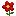 Flowerstoday.ru Favicon