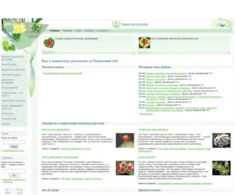 Flowersweb.info(Каталог комнатных растений) Screenshot
