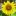 Flowertownbandb.com Favicon