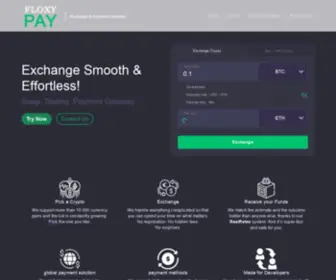 Floxypay.com(We support all the payment methods your customers want to use) Screenshot