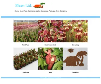 Fluce.com(Fluce Ltd) Screenshot