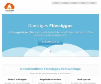 Fluessiggas-Vermittlung.de(Flüssiggas) Screenshot