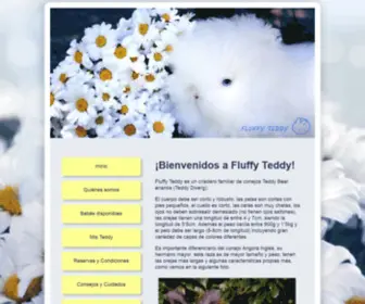 Fluffyteddy.com(Fluffy Teddy) Screenshot