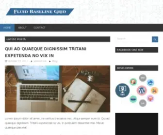 Fluidbaselinegrid.com(Framework) Screenshot