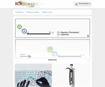 Fluoresentric.com(Stop developing PCR assays and Start collecting data. Your custom ready) Screenshot