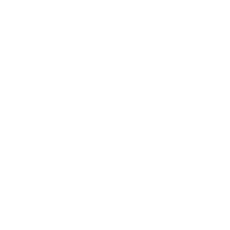 Flux.li Logo
