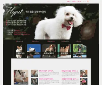 FLY-Pet.co.kr(FLY Pet) Screenshot