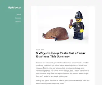 FLYcfa.co.za(flycfa) Screenshot