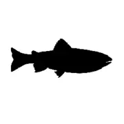 FLyfishingthebighorn.com Favicon