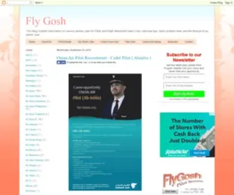 FLygosh.com(Fly Gosh) Screenshot