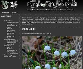 Flyingdogfish.com(Flying Dog Fish's Web Exhibit) Screenshot