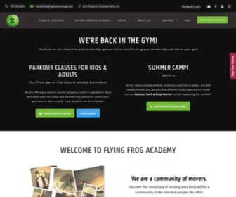 Flyingfrogacademy.com(Flying Frog Academy) Screenshot