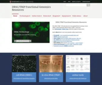 FLYrnai.org(DRSC/TRiP Functional Genomics Resources & DRSC) Screenshot