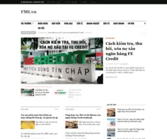 Fmi.vn(Fmi) Screenshot