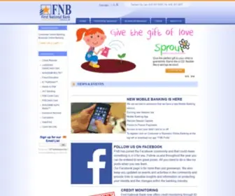FNBpville.com(Bank in Illinois) Screenshot