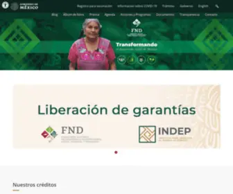 FND.gob.mx(FND) Screenshot