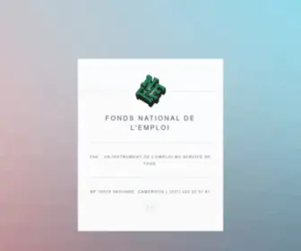 Fne.cm(Fonds National de l'Emploi) Screenshot