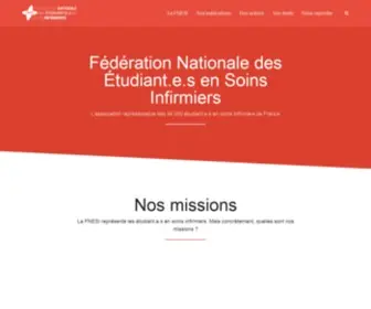 Fnesi.org(FNESI) Screenshot