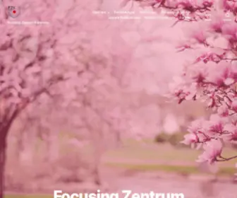 Focusing.de(Focusing Zentrum Karlsruhe) Screenshot