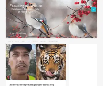 Focusingonwildlife.com(Focusing on Wildlife) Screenshot