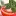 Fodmapfree.com Favicon