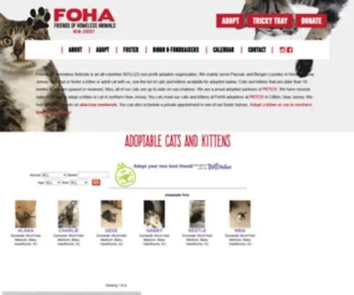 Fohanj.com(Friends of Homeless Animals) Screenshot