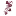 Folwark.pl Favicon