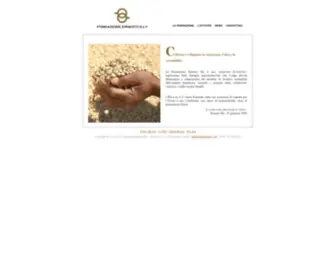 Fondazionernestoilly.org(Fondazione Ernesto Illy) Screenshot