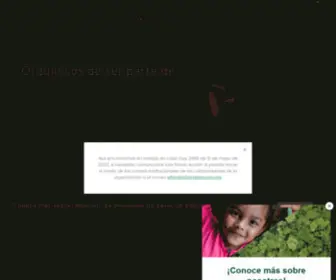 Fondoaccion.org(Fondo Acción) Screenshot