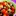 Foodcollage.com Favicon