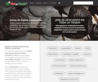 Foolfossils.com(Venta De Fósiles Y Minerales) Screenshot