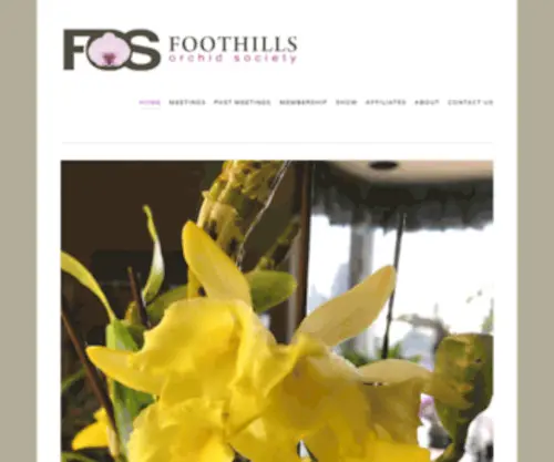 Foothillsorchidsociety.com(Foothills Orchid Society) Screenshot
