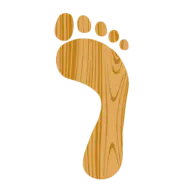 Footprintsfranchise.com Favicon