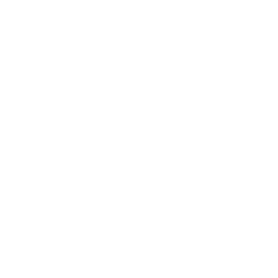 Forcepush.tech Favicon