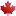 Forces.ca Favicon