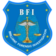 Forensicexpertinvestigation.com Favicon