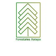 ForestalesXalapa.com Favicon