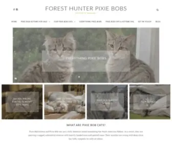 Foresthunter.com(Pixie Bob Kittens and Pixie Bob Cats) Screenshot