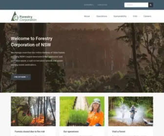 Forestrycorporation.com.au(Forestry Corporation of NSW) Screenshot