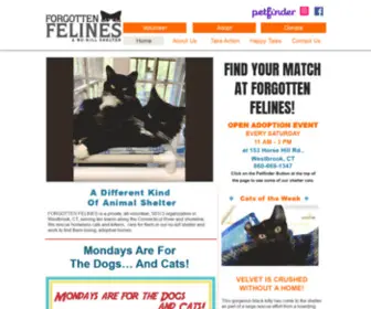 Forgottenfelinesct.org(Adopt A Cat) Screenshot